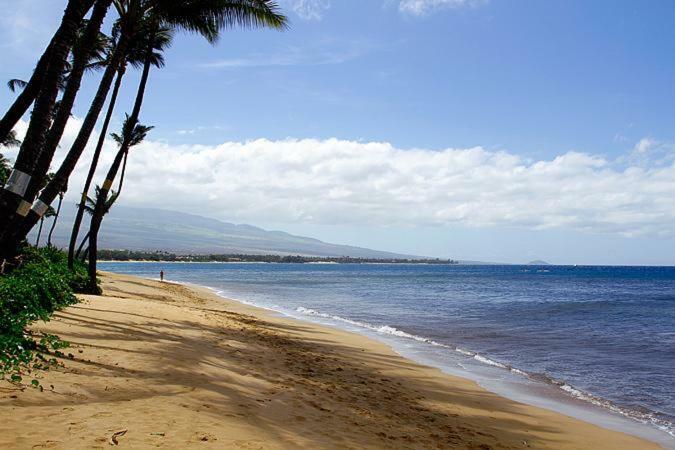 Kealia Resort 502 Kihei Exteriér fotografie